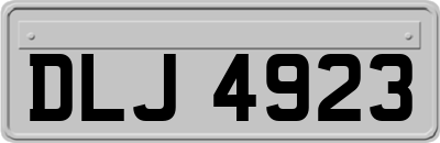 DLJ4923