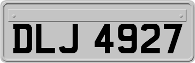 DLJ4927