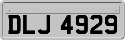 DLJ4929
