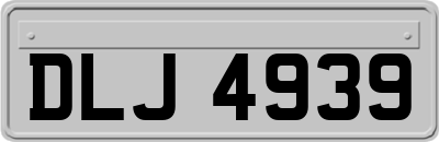 DLJ4939