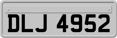 DLJ4952