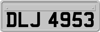 DLJ4953