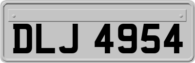 DLJ4954