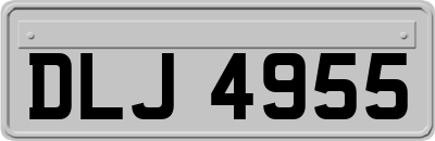 DLJ4955