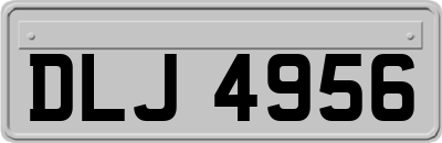 DLJ4956