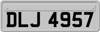 DLJ4957