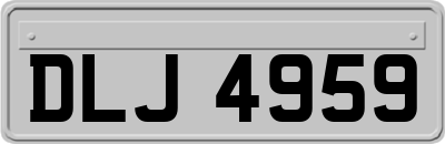 DLJ4959