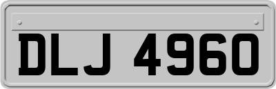 DLJ4960