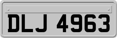 DLJ4963