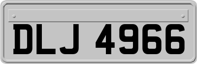 DLJ4966