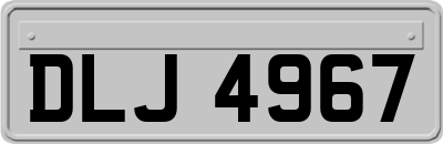 DLJ4967