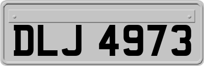 DLJ4973