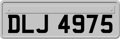 DLJ4975