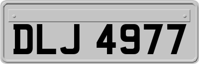 DLJ4977