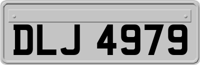 DLJ4979