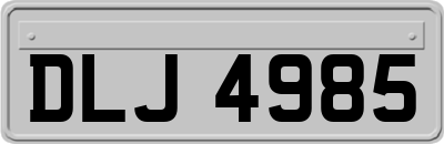 DLJ4985