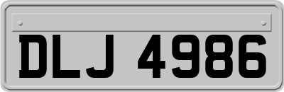 DLJ4986