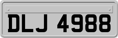 DLJ4988