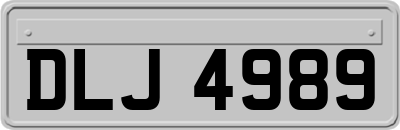 DLJ4989