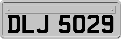 DLJ5029
