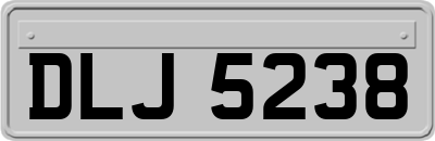 DLJ5238