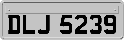 DLJ5239