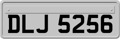 DLJ5256