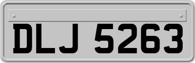 DLJ5263