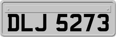 DLJ5273