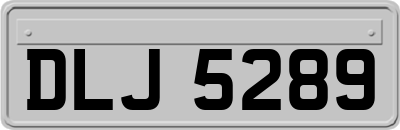 DLJ5289