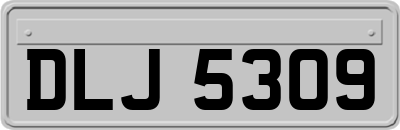 DLJ5309