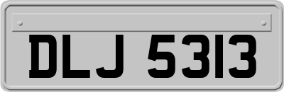 DLJ5313