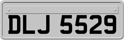 DLJ5529