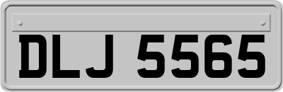 DLJ5565