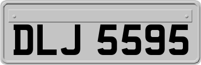 DLJ5595