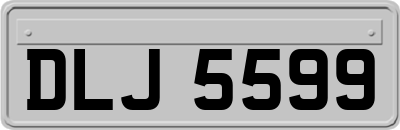 DLJ5599