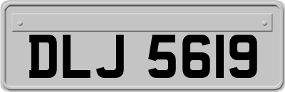 DLJ5619