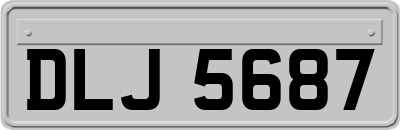 DLJ5687