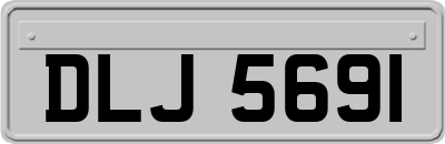DLJ5691