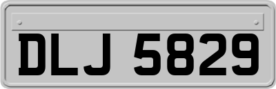 DLJ5829