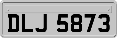 DLJ5873