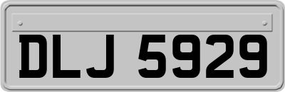 DLJ5929