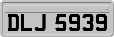 DLJ5939