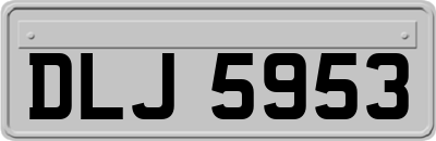 DLJ5953