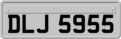 DLJ5955