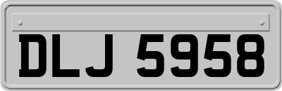 DLJ5958