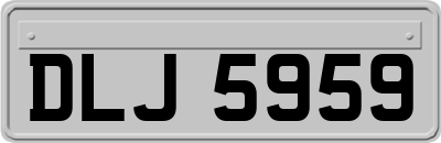 DLJ5959