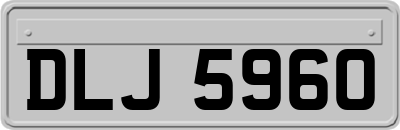 DLJ5960