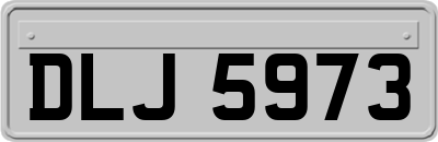 DLJ5973