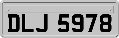 DLJ5978